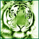 Tiger Reborn expose website..